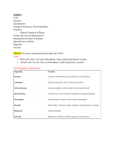 Biology Study Guide: Cells, Osmosis, Reproduction