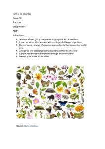 Grade 10 Life Sciences Practical: Trophic Levels Poster