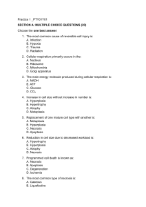 Cell Biology Practice Exam: Multiple Choice & Short Answer Questions