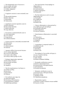 Pathology Multiple-Choice Questions on Cell Injury & Necrosis