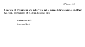 Prokaryotic and Eukaryotic Cell Structure