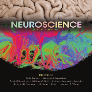 Neuroscience by Dale Purves et al eds z