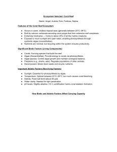 Coral Reef Ecosystem Study Guide