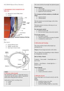 Eye Anatomy & Disorders Textbook