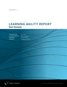 Learning Agility Report: Sales Manager IV Assessment