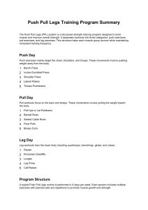 Push Pull Legs (PPL) Training Program Guide
