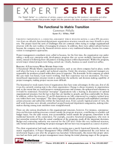 Functional to Matrix Transition: Common Pitfalls in Project Management