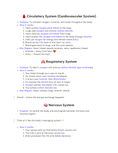 Human Body Systems Scavenger Hunt Worksheet