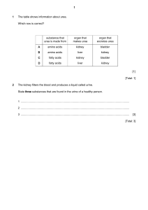 Biology Worksheet: Excretory System & Kidney Function
