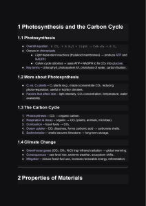 Photosynthesis, Carbon Cycle, and Science Concepts
