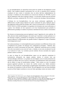 Vrai hermaphrodisme : une condition rare et tumeurs associ&eacute;es