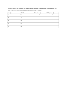 Calculate APP and MPP for Beef Producer