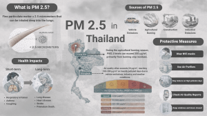 PM 2.5 in Thailand: Sources, Health Risks, and Protection