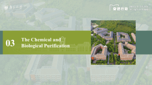 Chemical and Biological Purification in Urban Green Spaces