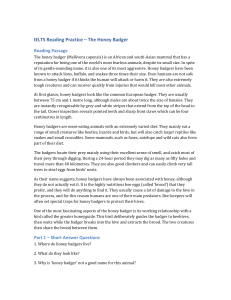 IELTS Reading Practice: The Honey Badger