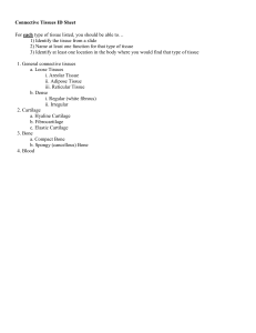 Connective Tissues ID Sheet: Tissue Identification Guide