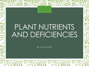 Plant Nutrients and Deficiencies Lesson Plan