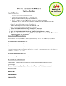 IB Sports Nutrition Topic 3.1 Study Guide