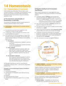 Homeostasis in Mammals: Principles and Mechanisms