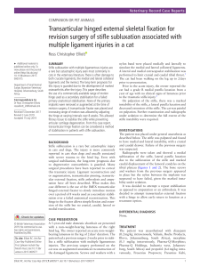 Transarticular Hinged Fixation for Stifle Subluxation in Cats