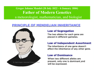 Mendel's Laws of Inheritance: Dominance, Segregation, Assortment