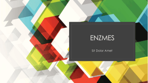 Enzymes: Definitions and Functions