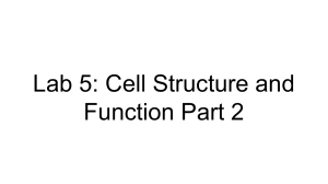 Lab 5: Cell Structure and Function Part 2 - Biology Lab