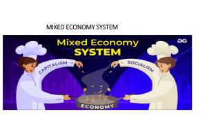Mixed Economy System: Definition, Advantages, Disadvantages