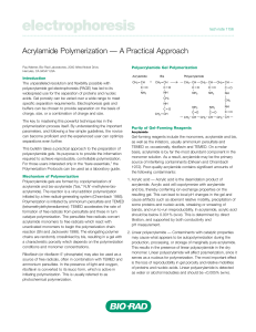 Acrylamide Polymerization: A Practical Guide for Gel Electrophoresis