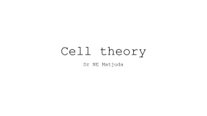 Cell Theory: Dr NE Matjuda's Lecture Notes on Cell Biology