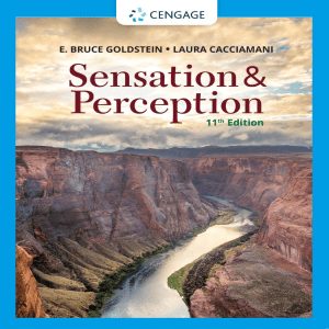 Sensation & Perception Textbook 11th Edition