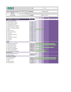 Informe de Evaluaci&oacute;n NEPSY-II para E. J. V. L.