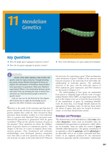 Mendelian Genetics: Principles & Experiments