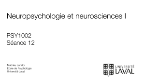 Neuropsychologie et neurosciences I - S&eacute;ance 12