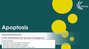 Apoptosis Lesson Plan: Cell Biology