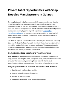 Private Label Soap Noodles Manufacturing in Gujarat