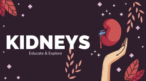 Kidneys: Functions, Health Tips & Anatomy