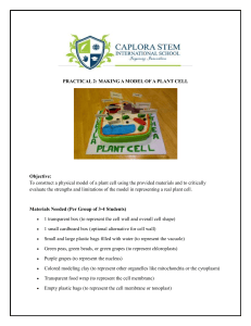 Plant Cell Model Practical: Biology Lab Activity