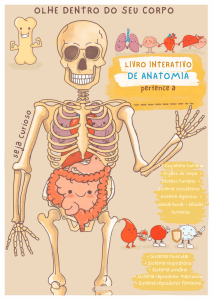 Anatomia Humana para Crian&ccedil;as: Livro Interativo