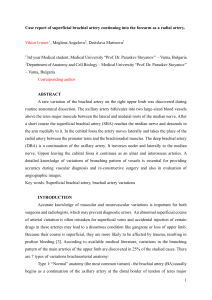 Superficial Brachial Artery Variation: Case Report