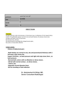 KUB CT Scan Report: Abdominal Pain Findings