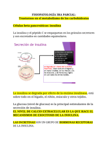 Fisiopatolog&iacute;a: Trastornos Metabolismo de Carbohidratos