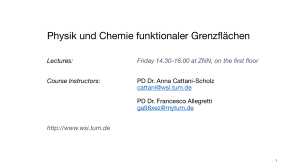 Physics and Chemistry of Functional Interfaces Course