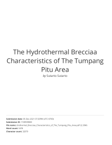 Hydrothermal Breccia Characteristics of Tumpang Pitu Area