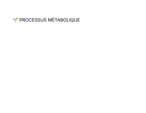 Processus M&eacute;tabolique : Enzymes, Respiration, Photosynth&egrave;se