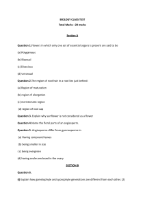 Biology Class Test: 20 Marks Exam Questions