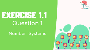 Exercise 1.1: Number Systems Questions