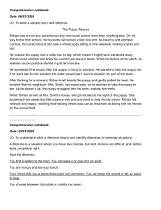 Comprehension Notebook: Dilemma Story & Examples