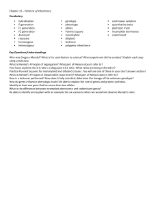 Chapter 12: Patterns of Inheritance - Mendelian Genetics Study Guide