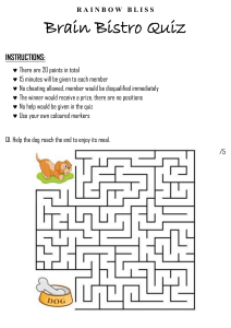 Rainbow Bliss Brain Bistro Quiz - Maze & Riddles